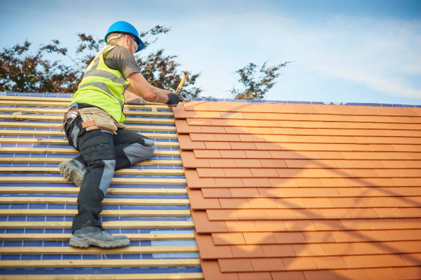 Best Sheet Metal Roofing  in Greeley, CO