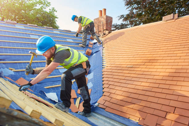 Sheet Metal Roofing in Greeley, CO